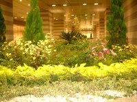 11̉ԂƃJ[(Curry Powder)