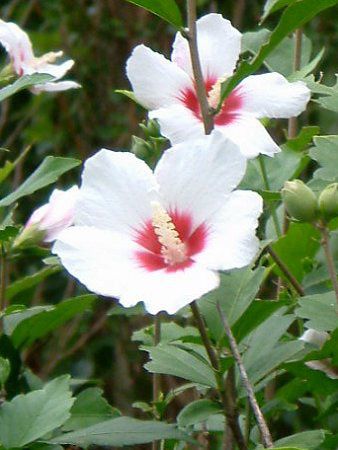 ���N�Q(��)