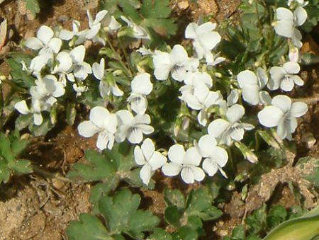 ~XYX~ '}C`h'( '璹')