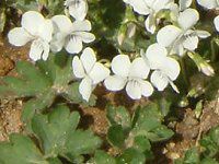 ~XYX~ '}C`h'( '璹')