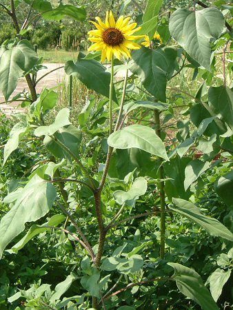 �q�}�����i�������j