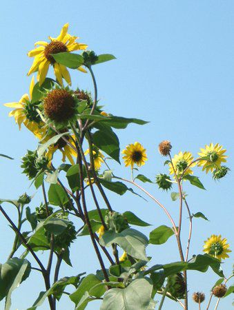 �q�}�����i�������j