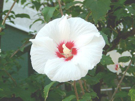 ���N�Q(��)