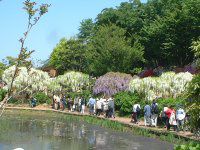 �t�W�i���j