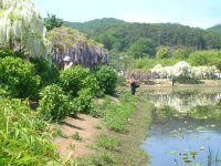 �t�W�i���j