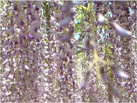 �t�W�i���j