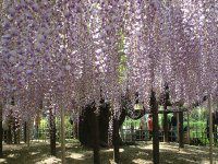 �t�W�i���j