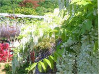 �t�W�i���j