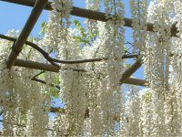 �t�W�i���j