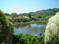 �t�W�i���j