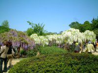 �t�W�i���j