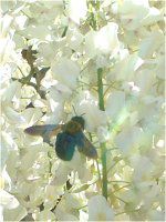 �t�W�i���j