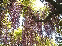 �t�W�i���j