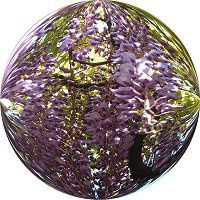 �t�W�i���j