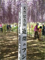 �t�W�i���j