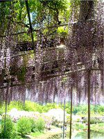 �t�W�i���j