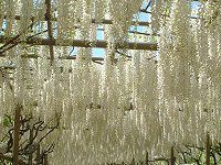 �t�W�i���j