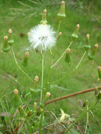 �_���h�{���M�N�i�i���A���e�j