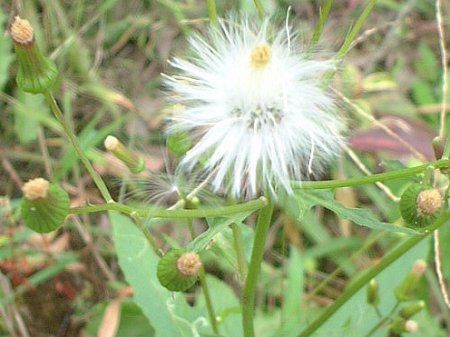 �_���h�{���M�N�i�i���A���e�j