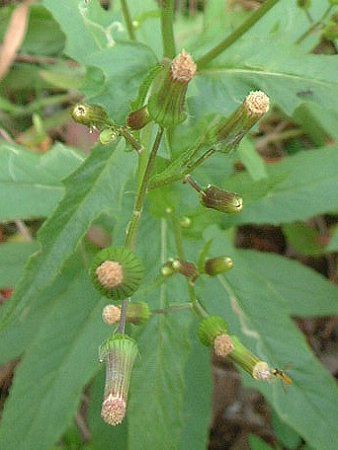 �_���h�{���M�N�i�i���A���e�j