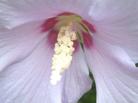 ���N�Q(��)