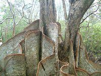 TLV}XIEmLi擇hF̖؁j