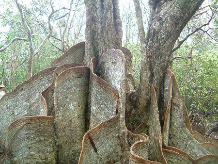 TLV}XIEmLi擇hF̖؁j