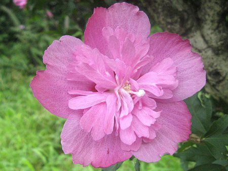 ���N�Q(��)