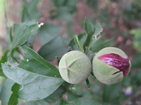 ���N�Q(��)