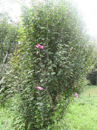 ���N�Q(��)