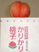 ���肩�蓍�q