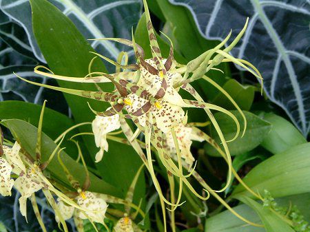 ubVAEG^[iEBh 'T}[h['