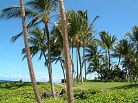 ハワイ島(2002年8月)-ホテル オーキッドマウラナニ