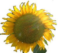 �Ă�����(2001�N)