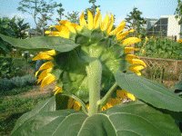 �Ă�����(2001�N)