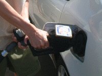 �Z���t����