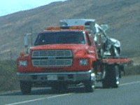 �}�E�C�J�[�A�N�V�f���g