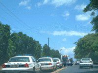 �}�E�C�J�[�A�N�V�f���g