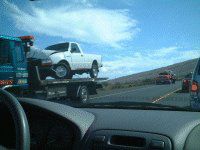 �}�E�C�J�[�A�N�V�f���g