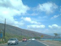 �}�E�C�J�[�A�N�V�f���g