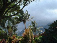 �n���A�J����Ղ�