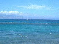 }EC̃r[`(Maui's Beach)