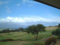 �T���_���E�b�Y