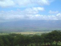 �n���A�J����Ղ�