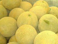 (Melon)