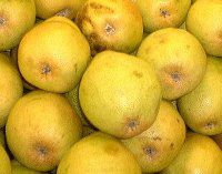 �}�E�C�̃X�[�p�[�}�[�P�b�g�|���N�H���i�i��؂Ɖʕ�)