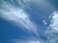 �}�E�C�̋�