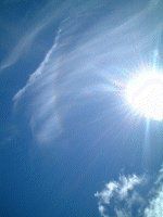 �}�E�C�̋�