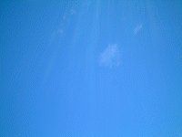 �}�E�C�̋�