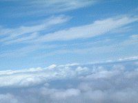 �}�E�C�̋�